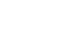 17p-icon